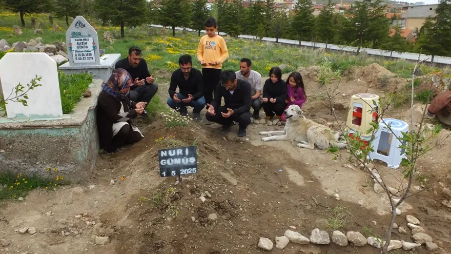 Garip adlı köpek, sahibinin mezarının başından ayrılmıyor: ''Sanki bize bir şeyler anlatıyor gibi'' 1