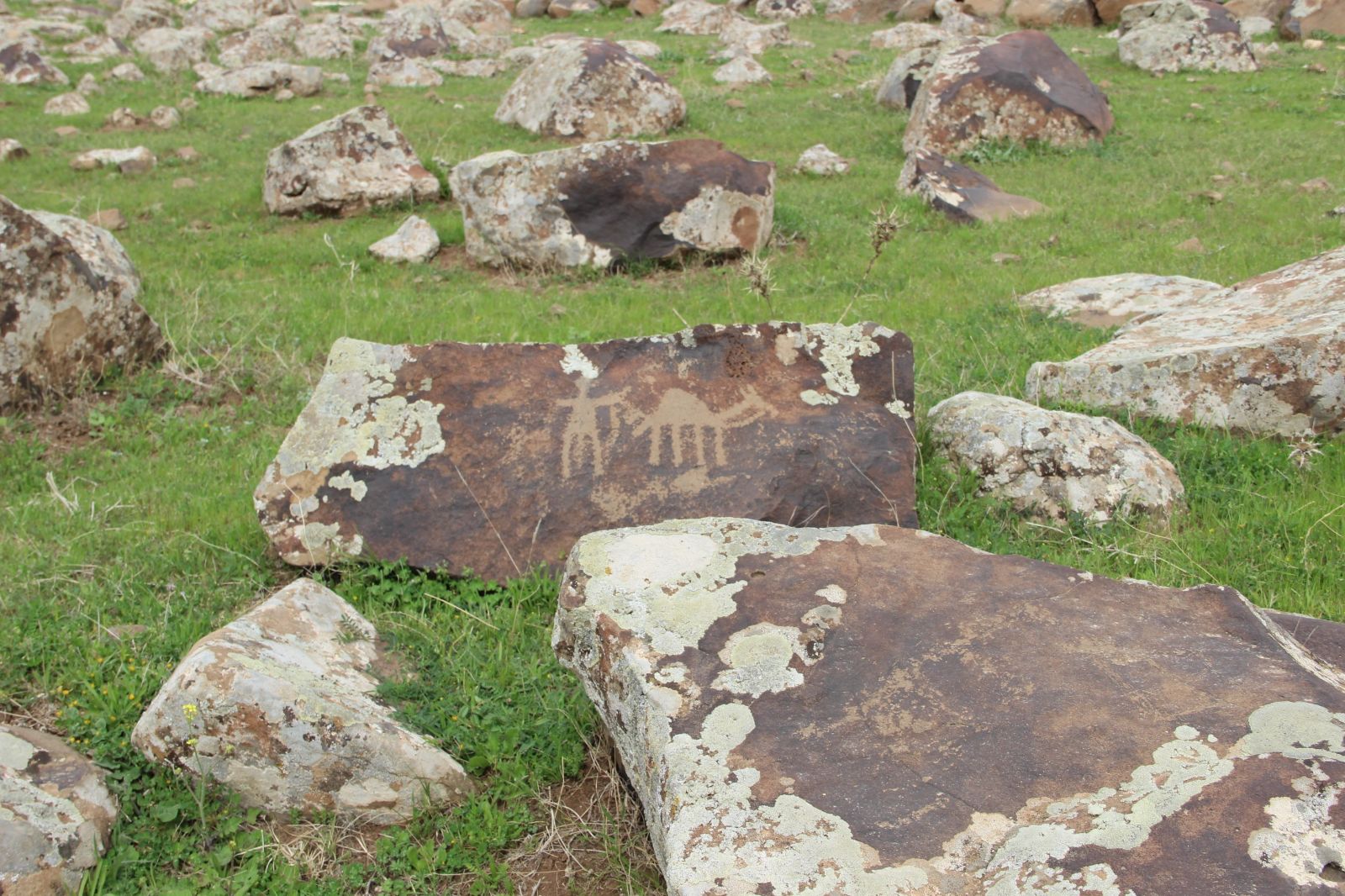 Şırnak’ta tarihi Tunç Çağı’na dayanan bulgulara rastlandı