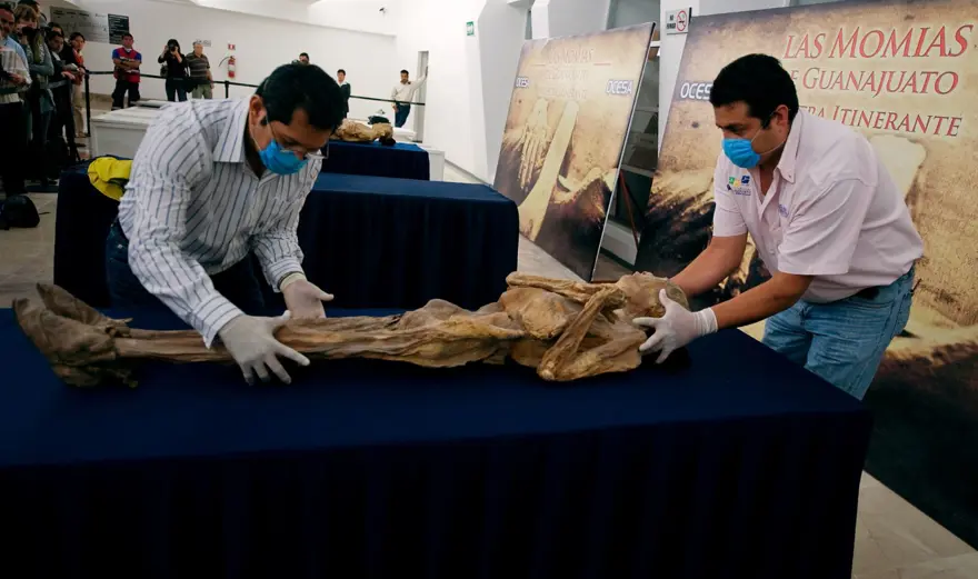 Mumya "geri döndü": Uzmanlardan "sakın yaklaşmayın" uyarısı 