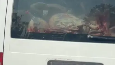 Adana'da mide bulandıran görüntü