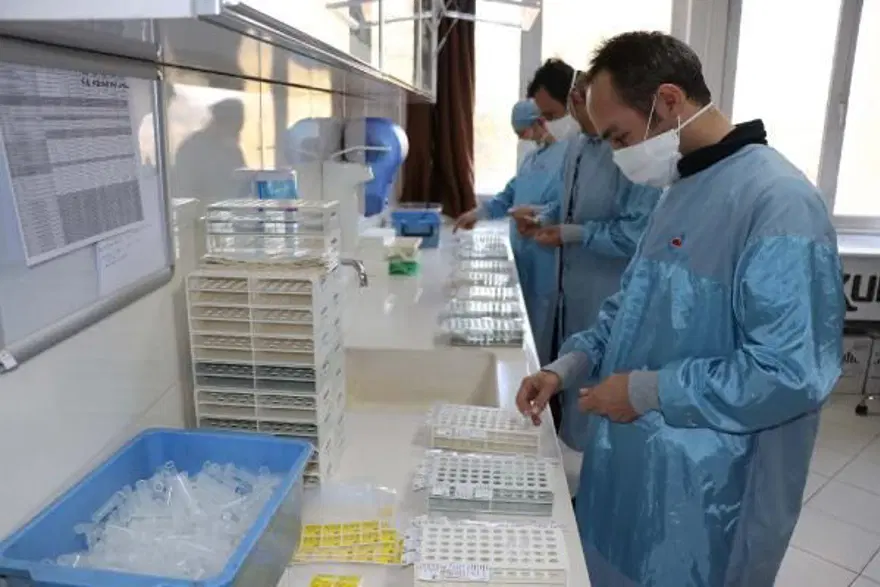 Yerli aşıda yeni gelişme: Rapor bakanlıkta 1