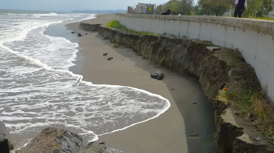 Samsun'da kıyı erozyonu uyarısı: "Telafisi olmayan sonuçlarla karşı karşıya kalabiliriz" 1