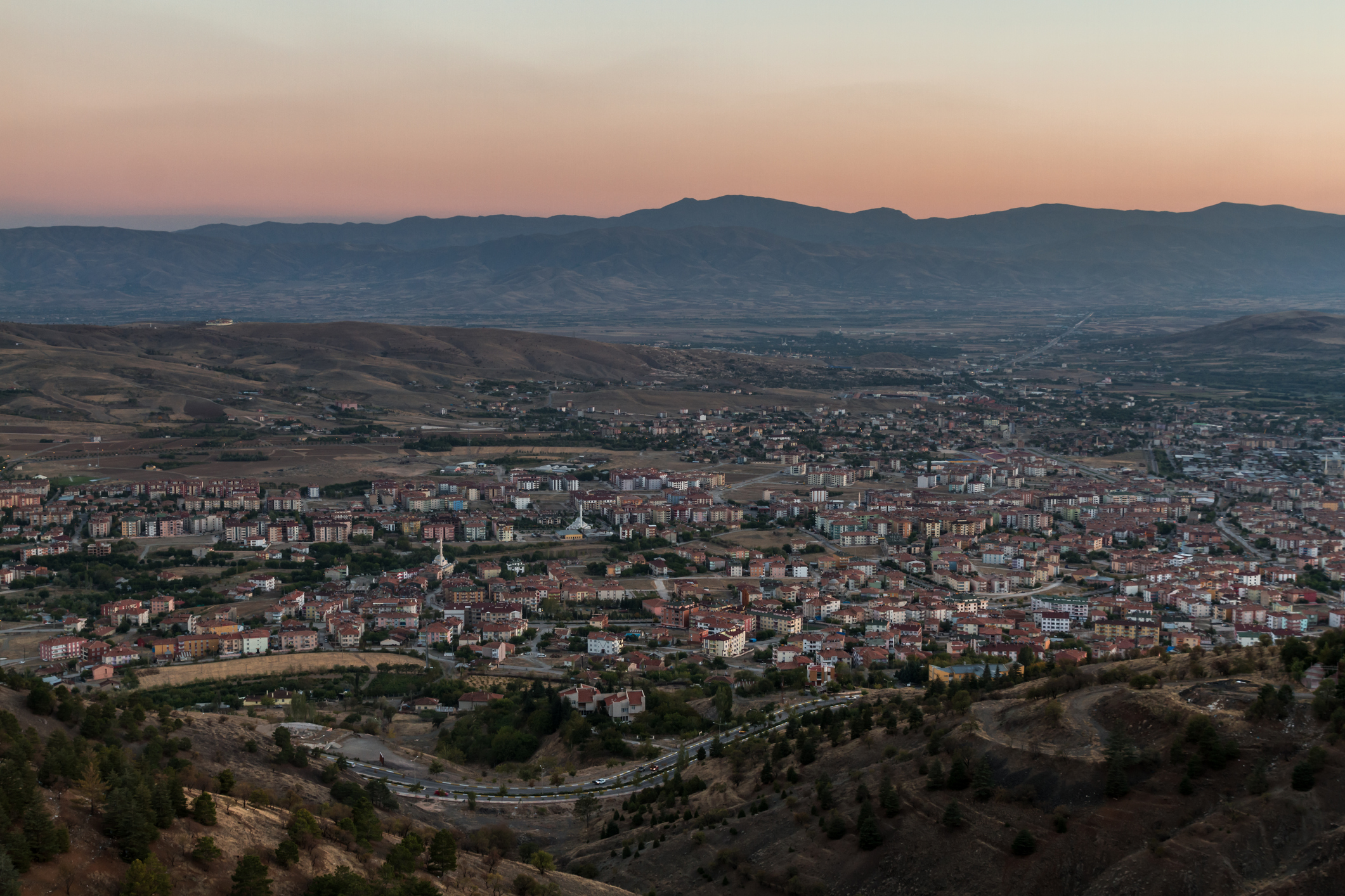 Elazığ'da hayvan dostu belediye sokaklardan mama ve suyu eksik etmiyor