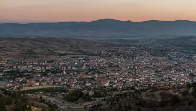 Elazığ'da ağıla yıldırım düşmesi sonucu 3 büyükbaş hayvan telef oldu