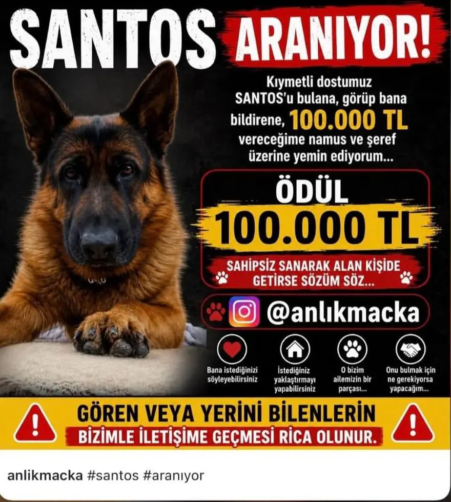 25 gündür kayıp, bulana 100 bin lira ödül verilecek 1