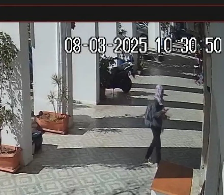 Antalya’da kayıp kara kedi bilmecesi 4