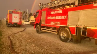 Mardin'de çıkan yangında 350 dönüm buğday ekili alan zarar gördü