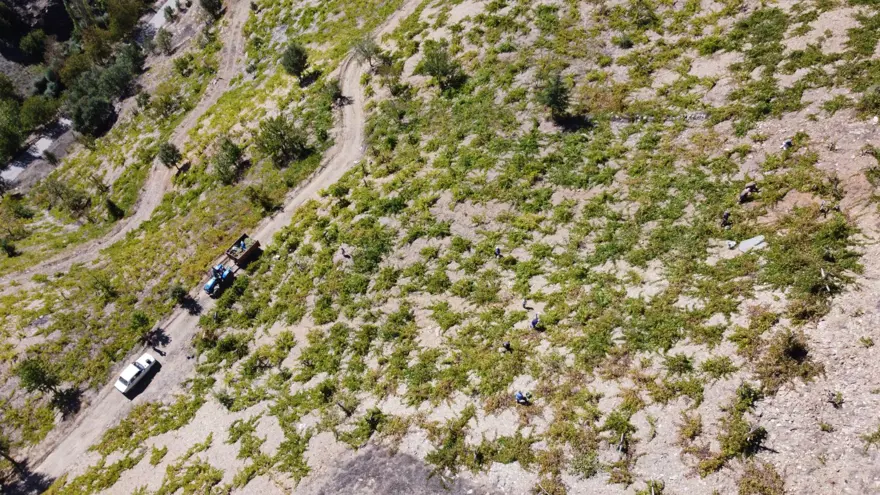 Dut yaprakları kaşık, su kabakları kepçe olarak kullanılıyor! Meşe külüyle harmanlayıp 2 gün 3 gecede yapıyorlar 4