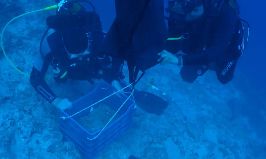25'er kiloluk külçeler! Antalya'da dünyanın en eski batığında bulundu 4