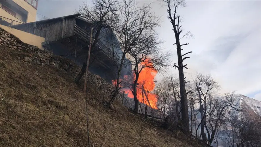 Rize'de Gölyayla köyünde çıkan yangına müdahale devam ediyor: 9 ev zarar gördü 22