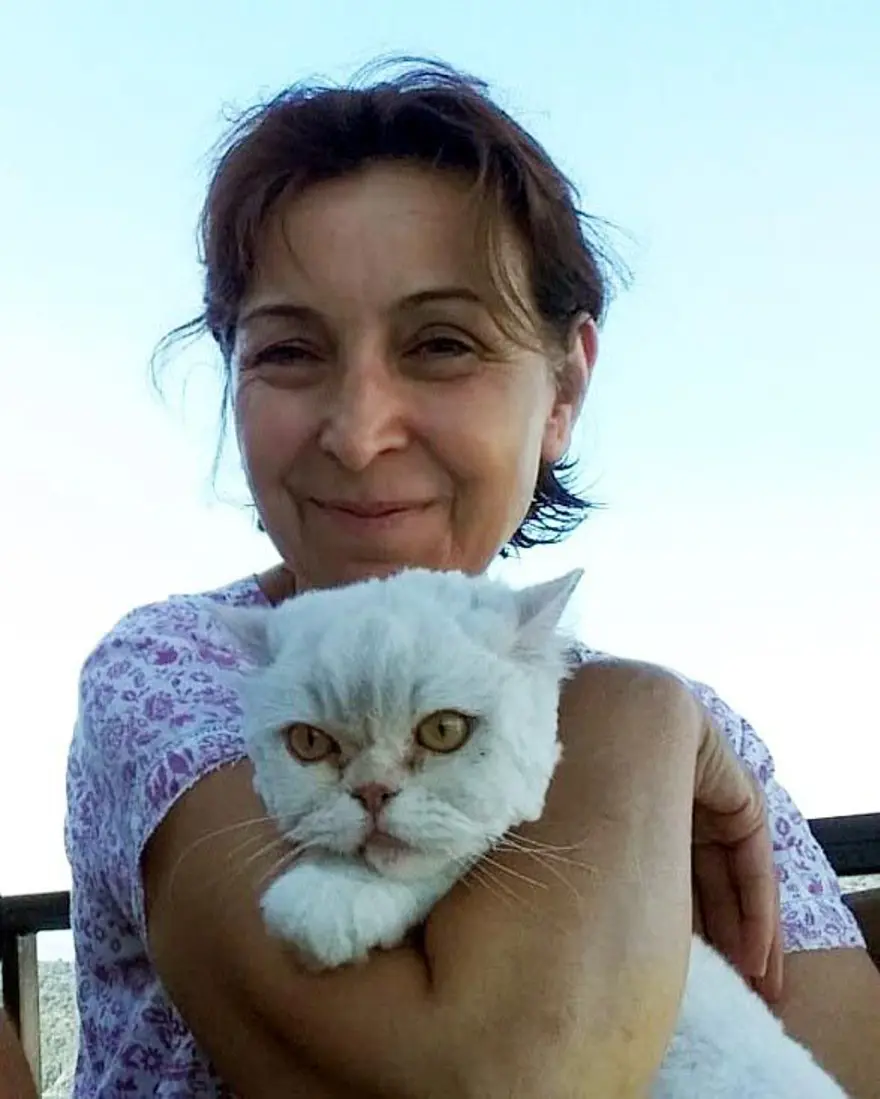 Kayıp kedi minibüsün kaportasından çıktı 5 Kayıp kedi minibüsün kaportasından çıktı 5