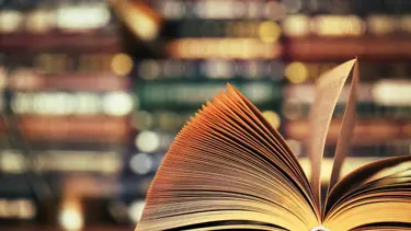 IPA'dan uluslararası destek çağrısı