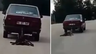 Otomobilin arkasına bağladığı köpeği sürükledi