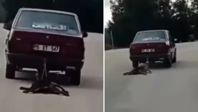 Otomobilin arkasına bağladığı köpeği sürükledi