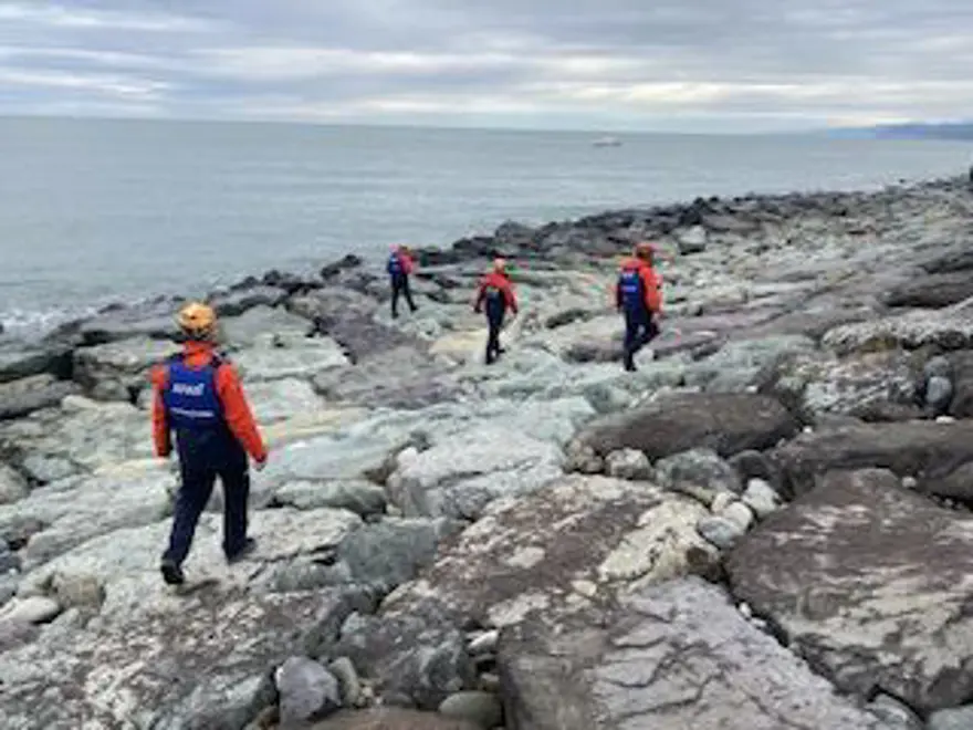 Odun topladığı denizde kaybolan kadının eşi: ''Umudumuz tükeniyor'' 1