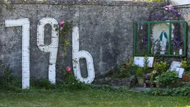İrlanda'da bebek skandalı: Sığınma evinin bahçesinde 796 cenaze aranacak
