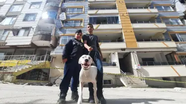 Kahraman köpek 'Dora' 2 çocuğu kurtardı