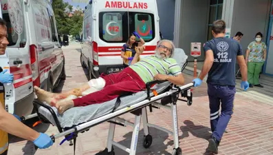 Komşusunun köpeği saldırdı, bacağına 20 dikiş atıldı