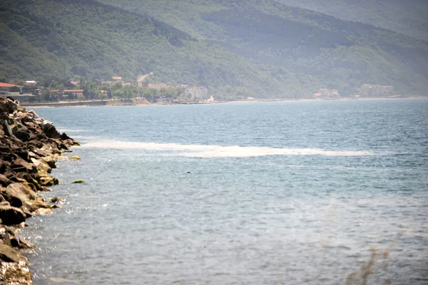 Çınarcık sahilini kaplayan deniz salyası, rüzgarla dağıldı 5