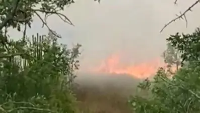 Karabük'te anız yangını