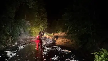 Rize'de şiddetli yağış: Sel, su baskını ve heyelan