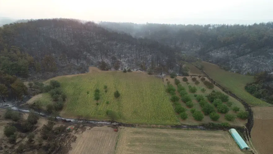 Çanakkale'de yangının boyutu gün ağarınca ortaya çıktı 10 Çanakkale'de yangının boyutu gün ağarınca ortaya çıktı 10