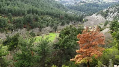 Lapseki doğası ve kaplıcalarıyla turistlerin yeni gözdesi olacak