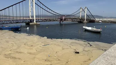 Saros Körfezi müsilaj içinde