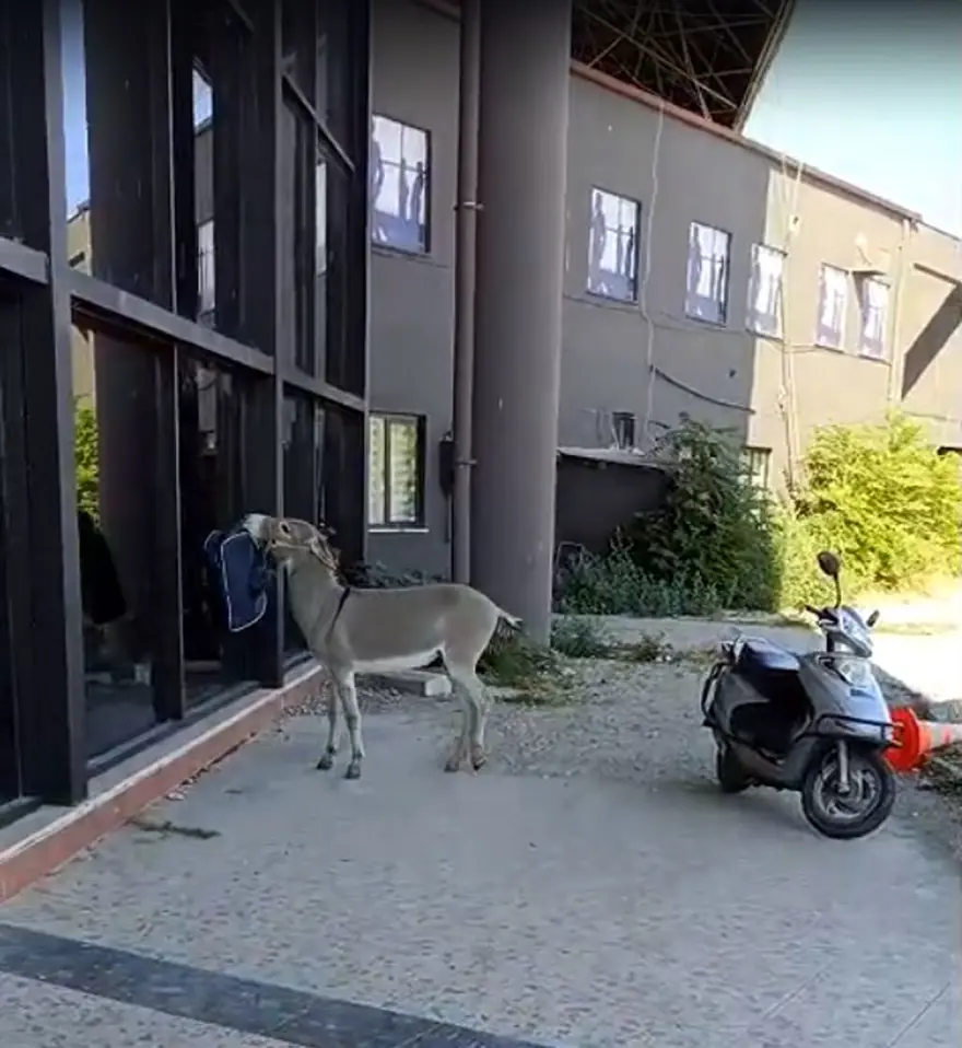 ''AYRILIRKEN ÜZÜLDÜK'' 3