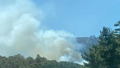 Denizli'de orman yangını: Havadan ve karadan müdahale başladı