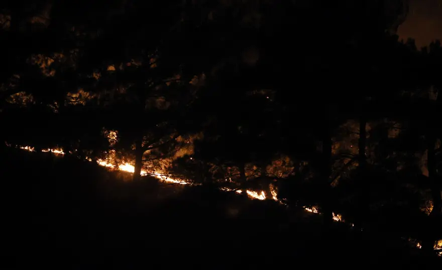 Manisa, Kahramanmaraş ve Antalya'da orman yangınları 9