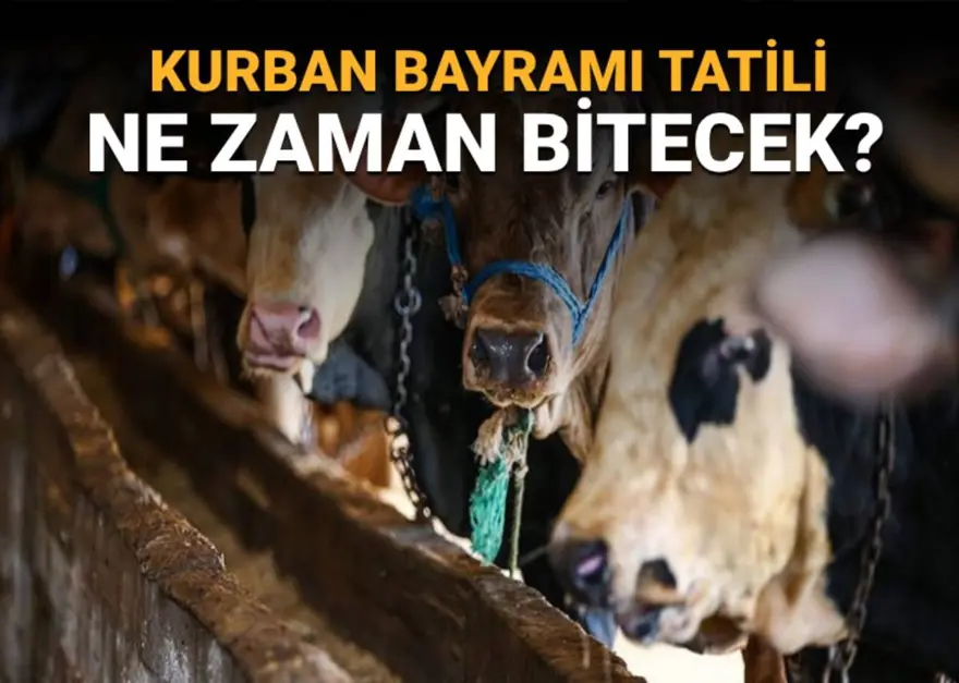 Bayram tatili ne zaman bitecek? (Diyanet takvimine göre 2025 Kurban Bayramı'nın son günü) 