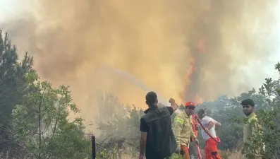 Bursa'da orman yangını: Bölgede enerji akışı kesildi