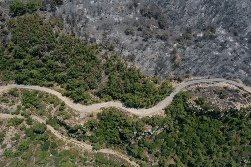 Menderes'teki orman yangınından geriye kalanlar 4