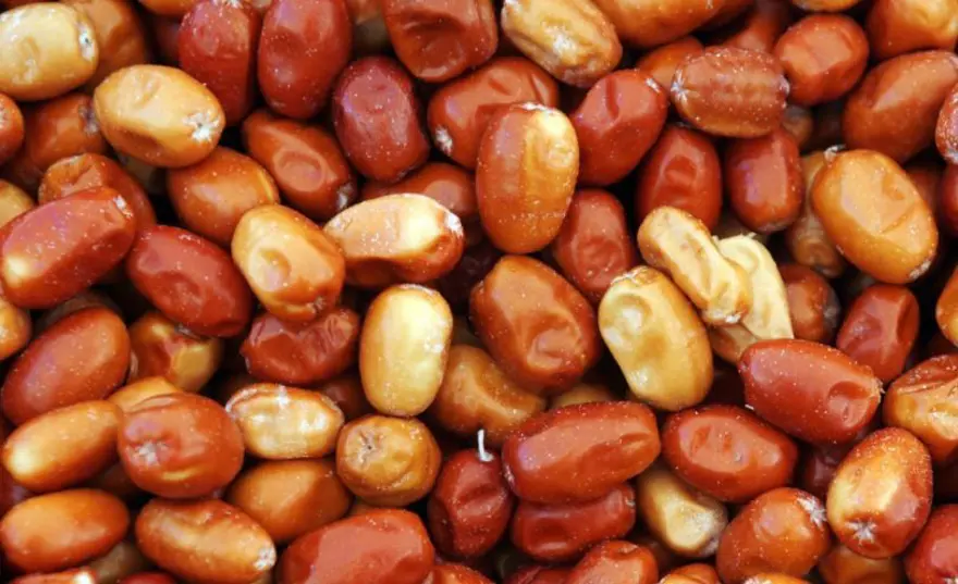 Türkiye'nin her yerinde doğal olarak yetişiyor! Kan şekerini dengeleyip kalbi ve damarları koruyor: Potasyum ve kalsiyum zengini 1 Türkiye'nin her yerinde doğal olarak yetişiyor! Kan şekerini dengeleyip kalbi ve damarları koruyor: Potasyum ve kalsiyum zengini 1