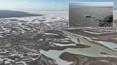 Tuz Gölü'nde yüzlerce flamingo ölü olarak bulundu