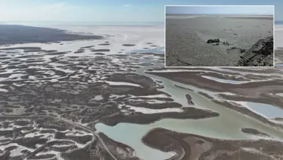 Tuz Gölü'nde yüzlerce flamingo ölü olarak bulundu