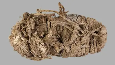 Akbaba yuvasında 750 yıllık ayakkabı bulundu