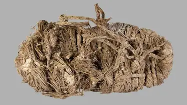 Akbaba yuvasında 750 yıllık ayakkabı bulundu