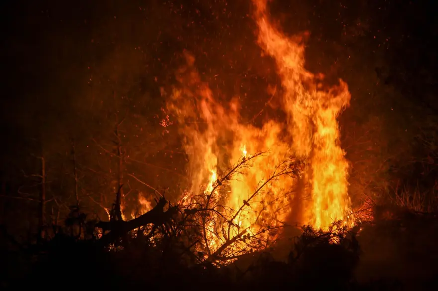 Çanakkale, Uşak, Antalya ve İzmir'de  orman yangını 8