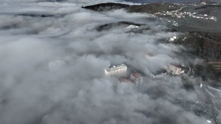Düzce'de sis etkili oldu 4