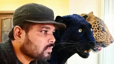 Hint doktor panter ve jaguarıyla savaşın ortasında kaldı