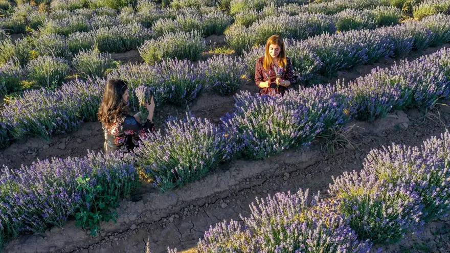 "İYİ BİR TERAPİ" 3