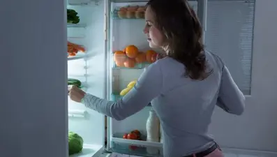 Evinizdeki casus buzdolabı mı?