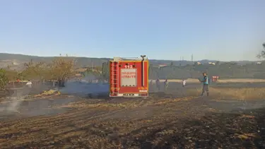 Kastamonu'da anız yangını: 4 dönüm tarla zarar gördü