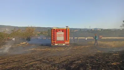 Kastamonu'da anız yangını: 4 dönüm tarla zarar gördü