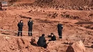 Çin'de 80 milyon yıllık dinozor yumurtası fosilleri bulundu