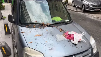 6 katlı binadan atılan çöp aracın camını kırdı