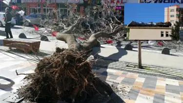 Adana ve Kahramanmaraş'ta şiddetli rüzgar (Çatılar uçtu, ağaçlar devrildi)