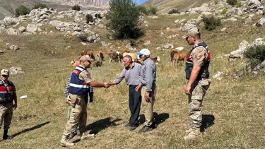 Kayıp hayvanları jandarma buldu